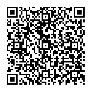 怪蜀黍 这是你给我刷礼物 开国王 星辰娱乐给我的所有分成 我都存在这里头了 还给你 二维码生成