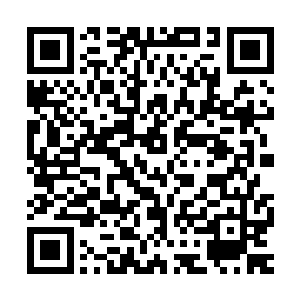 总不会他们魔宫两位明明杀入前面30强的精英会主动同归于尽吧二维码生成