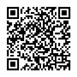 总不能拍到咱仨在一张照片里就起个标题……沈天后机场会两男二维码生成