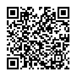 总之就是要把你们两个的一言一行详细记下来转达给她二维码生成