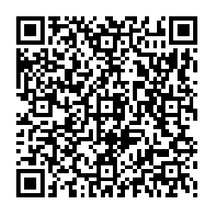总之王世子的表现完全看不出他像是刚刚丧失了世界上唯一一个亲人的该有的样子二维码生成
