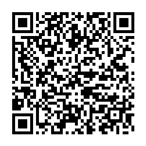 总会有那么些献殷勤讨好领导的哈巴狗们会把萧樱的来历查个底朝天二维码生成