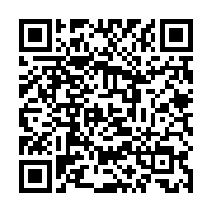 总共五千狩猎积分……若是再算上任务过程当中的收获二维码生成