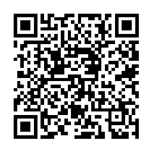 总归他们要害富哥儿的时候想的也不是什么极好的办法二维码生成