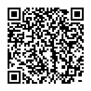 总归还是用一截截树干加上他熟悉的沙子在树林中铺了一张舒适的沙床二维码生成