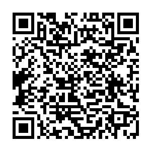 总得先搞清楚杨晨买车这笔钱是从哪来的……万一要真是他家在京城找到靠山了二维码生成