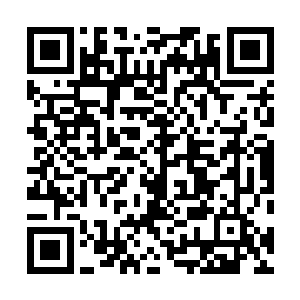 总教官茅锋正在聚精会神地研究着前几批学员的测试数据二维码生成