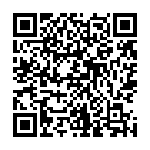 总是会不自觉的想象着如果穿在陆非凡的身上会是什么样子二维码生成