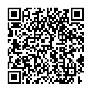 总是会耿直到用伤敌一千自损八百的激烈手段进行不知所谓的报复二维码生成