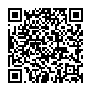 总是充满中性运动风格打扮的媒体记者不自而然的发出一片掌声二维码生成