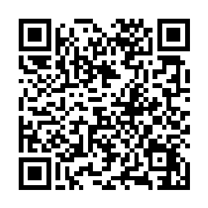 总是有着不断凝聚的死气和杀伐之前抵消着他们的攻击二维码生成