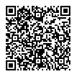 总有一些人所依仗的外物已经超出了混沌的界限……力量是没有止境的……没有永远的存在二维码生成