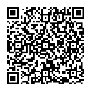 总统先生的意思是召开媒体见面会这么大的事情你应该和他以及玛瑞太太的家人商量一下二维码生成