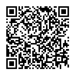 总统府顶部原来一直在劝慰激动民众的大喇叭也由议会议长亲自讲话二维码生成