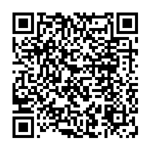 恍然如见一面栩栩如生的朱雀相势与一面模糊的獒狮恶兽相势在撕咬一起二维码生成