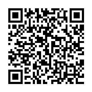 恐怕……恐怕以他们同样对没有节操和背叛组织的人心生厌恶二维码生成