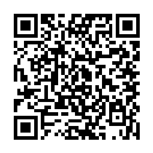 恐怕一时半会杨晨根本不用担心这家伙从跑出来攻击二维码生成