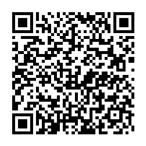 恐怕万蛇之母也收拾不下对方――毕竟对方也是一位八级存在的真灵二维码生成