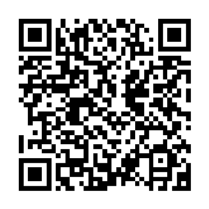 恐怕他也同样会因为自己的冷漠而使得周若诗的利益受到损失二维码生成