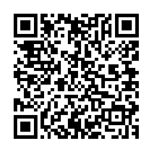 恐怕他卫晨现在还不知道要窝在办公室里受多少羞辱和憋屈呢二维码生成