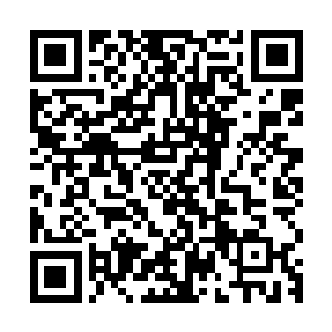 恐怕怎么也不会把眼前的秦宇和那高达上的秦国师给联系到一起二维码生成