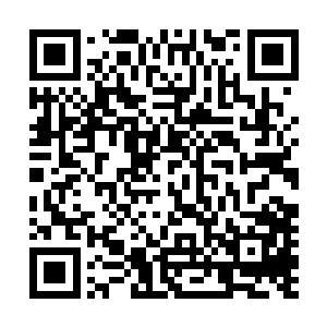 恐怕我们整个港口数个月的利润必须全部填进去才可以……二维码生成