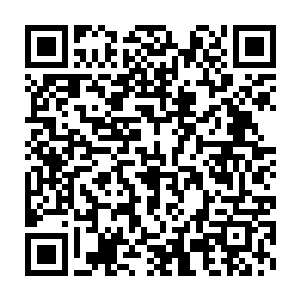 恐怕我们来不及召开常委会商量如何处理宗伟阳和赵长枪的事情了二维码生成