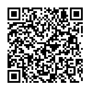 恐怕所有人做梦都不会想到在噩梦森林的核心之地会有宗门的存在吧二维码生成