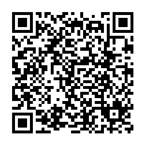 恐怕自己就会落得和上次在太玄宗对抗青火宗元婴期大修士同样的后果二维码生成