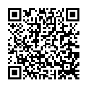 恐怕这一次第七殿殿主就不仅仅是对百圣城的外界武者下手了二维码生成