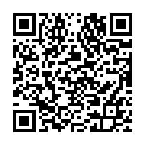 恐怕连龙若寺的第一天才无心小和尚都不敢和他争抢这一头衔的二维码生成