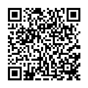 恐怖的巨印去势不减的狠狠的朝着下方的巨龟的龟甲上面落去二维码生成