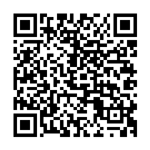 恐怖的擎天柱一般的黑色的巨指狠狠的撞到了鸿蒙紫莲的上面二维码生成