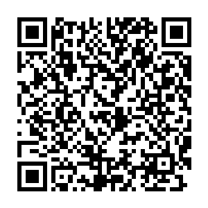 恒心大陆的天才林无涯将会和巨人族的天才狂震天在无人星空边缘一战二维码生成