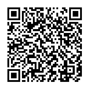 恨不得宣告天下他们有一位极受祖神宠爱的神祭司――青春永驻长生不老算什么二维码生成