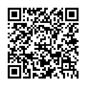 恨不得扭着秦方的耳朵让他老实交代昨晚跟谁去鬼混了二维码生成