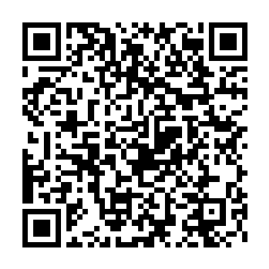 恨不得找个地洞钻下去……当时怎么能因为和人斗气就去追求宴维呢二维码生成