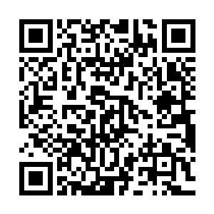 恨自己为什么没有注意到苏叶演绎的余一言在一个地方没挪过身二维码生成