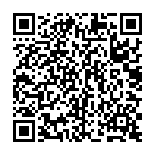 恭喜华南第一军官学校在第二轮测试里先后击败西南第四军官学校二维码生成