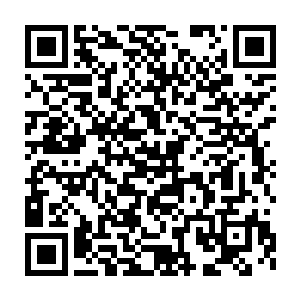 恰到好处的把玉清落那股子柔弱温和的模样给衬托的更加娇俏可人二维码生成