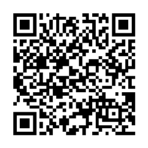 恰好是珍宝阁代替万珍商会出售一万块通行金简的日子二维码生成