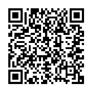 恶鬼皇那英俊得近乎完美的脸上也顿时浮现出了强烈的愤怒之色二维码生成