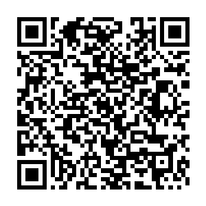 恶魔附体……此时到底找什么词汇来形容刚才还毫无还手之力的林凡呢二维码生成