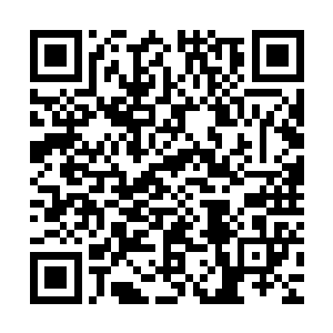 悍不畏死的跟着他手底下的那些人堵在了会场门口的必经之路上二维码生成
