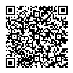 悟法和尚以及叶翔三人对他发动了非常猛烈的进攻……即便这三位的实力都要比他弱了许多二维码生成
