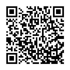 悠然的语气里满是不将闻横水和皇甫菲等人性命当回事的冷酷二维码生成