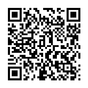 您……您……您一定就是那位刚才施展出s级技能的高人吧二维码生成