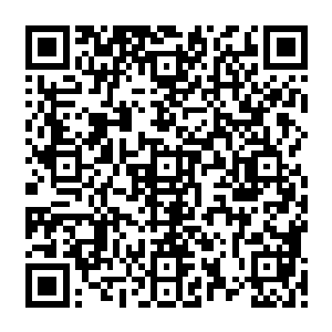 您……您等等再看……先做好心理准备……里面的内容可能……可能您看了会有些生气二维码生成