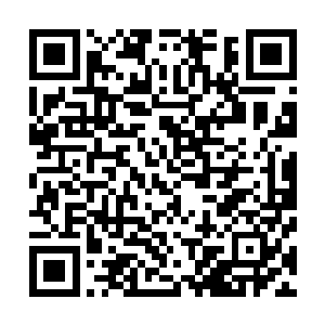 您下一步还有跟武校合作开设武打明星专业培训基地的计划二维码生成