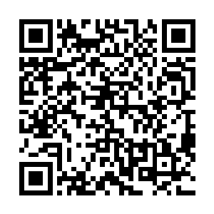 您何曾为臣妾在华贵的宫殿一隅建一个普普通通的小院子二维码生成
